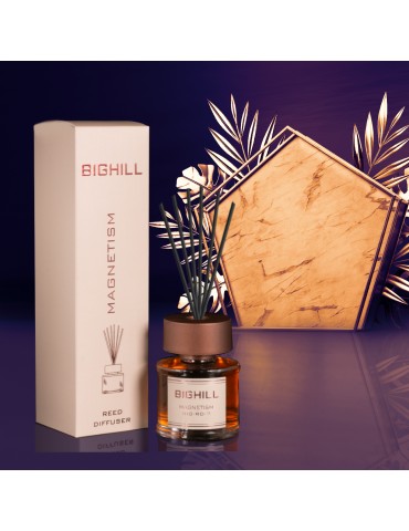Ekskluzywny Zapach EYFEL BIGHILL MAGNETISM 120ml
