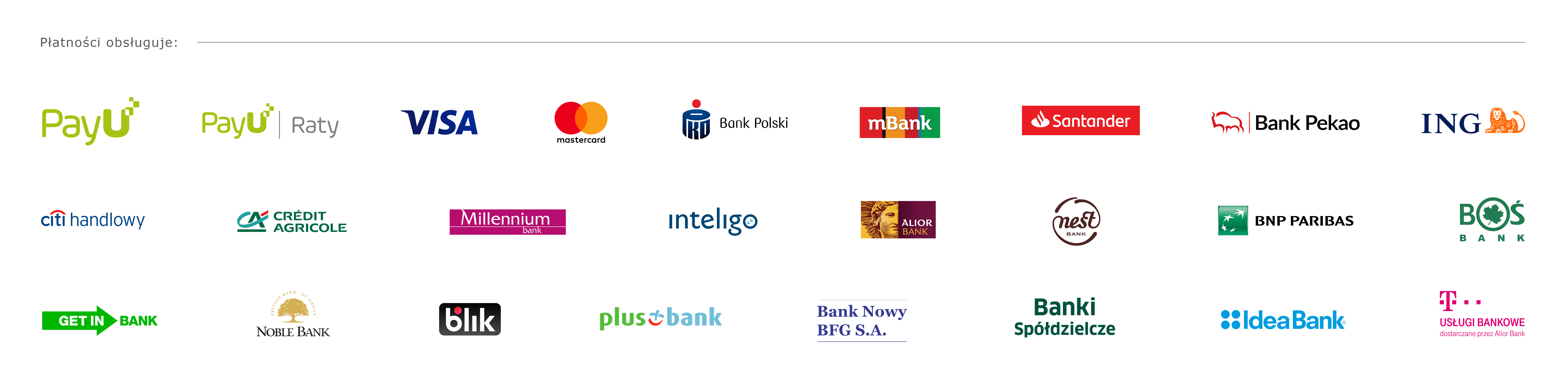 Payments Logo
